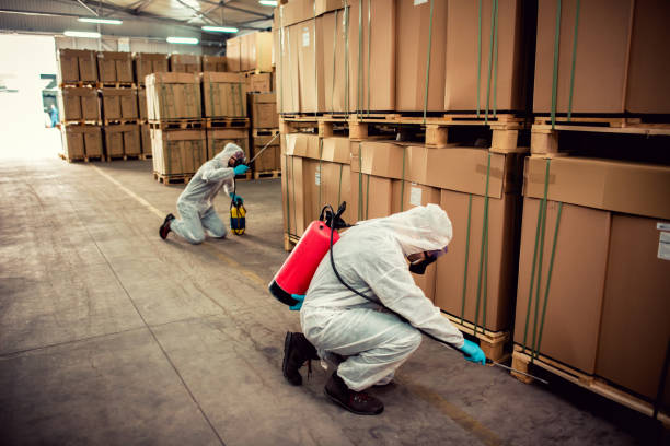 Best Residential Pest Control  in Dupo, IL