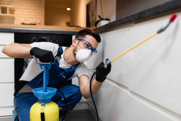 Best Cockroach Control Services  in Dupo, IL