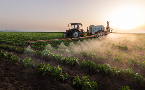Best Pest Prevention Services  in Dupo, IL