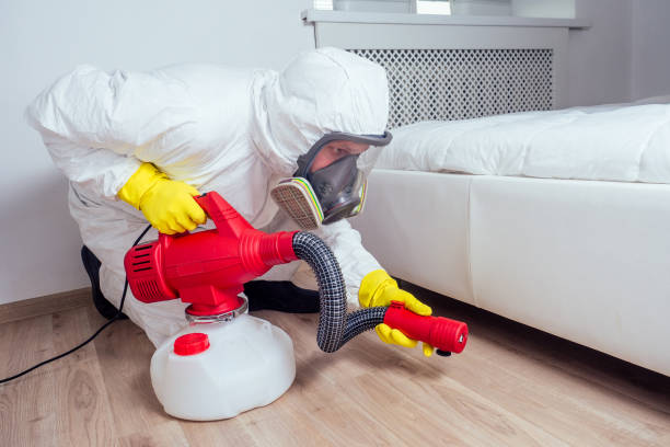 Best Local Pest Control Services  in Dupo, IL