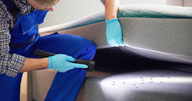 Best Mosquito Control Services  in Dupo, IL