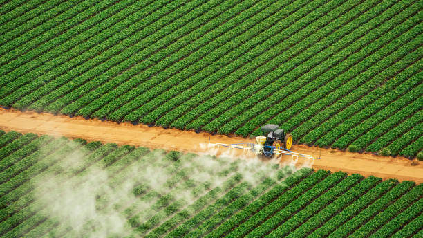 Professional Pest Control in Dupo, IL