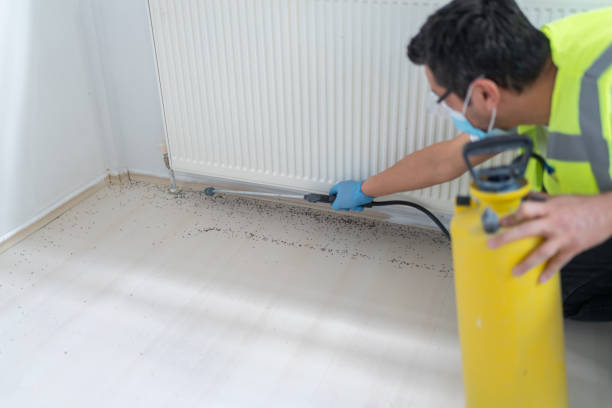 Best Ant Control Services  in Dupo, IL