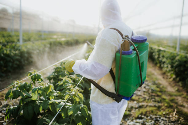Best Affordable Exterminators  in Dupo, IL